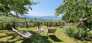 Pflanze, Himmel, Pflanzengemeinschaft, Blatt, Natürliche Landschaft, Baum, Stuhl, Gartenmöbel, Grundstueck, Schatten