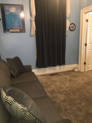 Sleeper sofa room with closet.  I set up the sleeper if it is needed. 