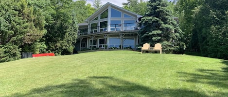 Lush back yard.