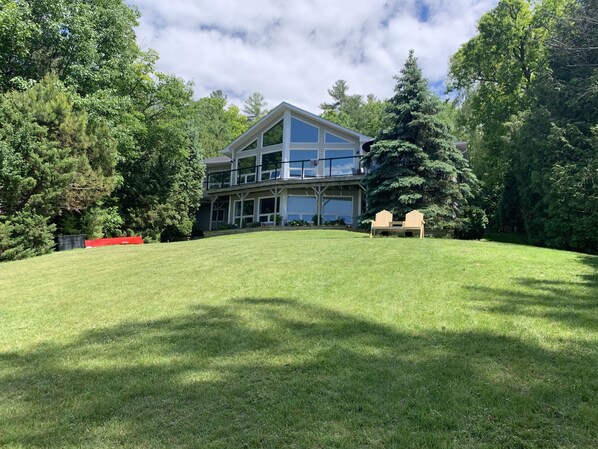 Lush back yard.