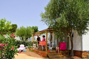 Trädgård [sommar]