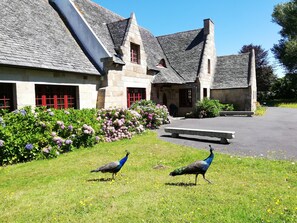 Les oiseaux ne sont que de passage !