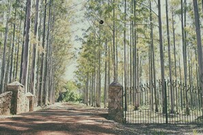 Parco della struttura