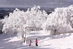 Sevärdhet