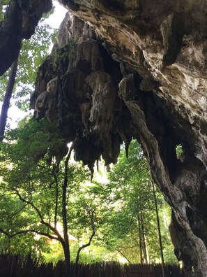 Esterni