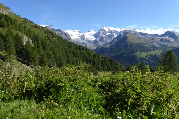 Mountain view