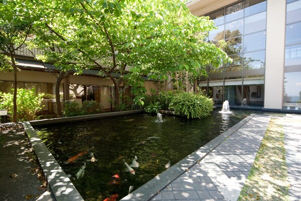 Giardino