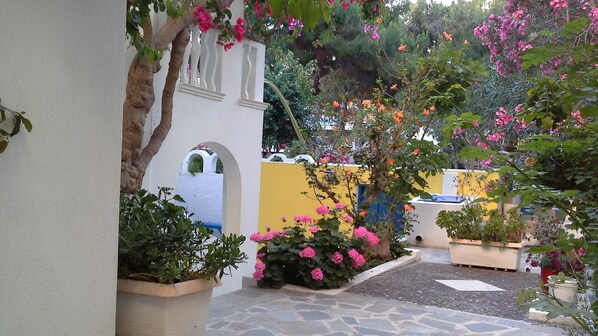 Jardim