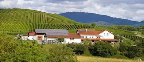 Weingut Berner