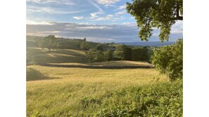 View over the hay meadow 