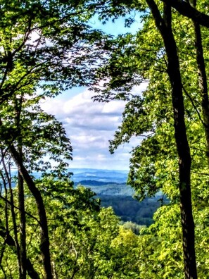 Spring View from the private hot tub