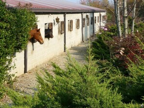 Plant, Building, Window, Tree, Vegetation, Land Lot, House, Grass, Shrub, Groundcover