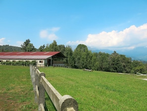 Grassland, Pasture, Grass, Property, Natural Landscape, Land Lot, Farm, Rural Area, Meadow, Sky