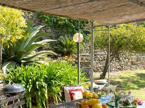 Plant, Flowerpot, Botany, Houseplant, Chair, Yellow, Shade, Grass, Terrestrial Plant, Landscape