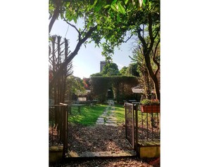 Himmel, Pflanze, Blatt, Baum, Schatten, Ast, Natürliche Landschaft, Vegetation, Sonnenlicht, Strassenbelag