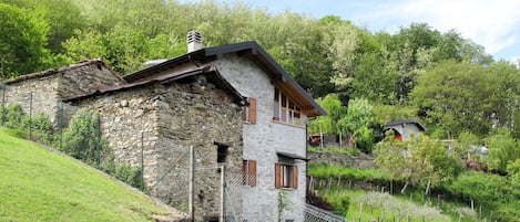 Ejendom, Hus, Sommerhus, Naturlige Landskab, Landdistrikt, Græs, Bygning, Stuehus, Land Lot, Landsby