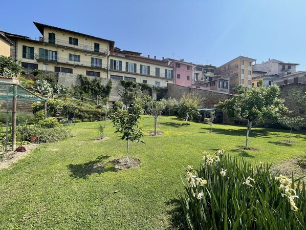 Plante, Ciel, Propriété, Bâtiment, La Nature, Fenêtre, Paysage Naturel, Lot Terre, Végétation, Arbre