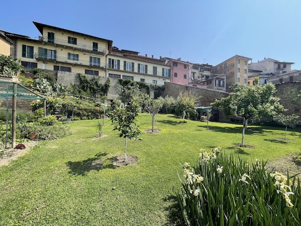 Plante, Ciel, Propriété, Bâtiment, La Nature, Fenêtre, Paysage Naturel, Lot Terre, Végétation, Arbre