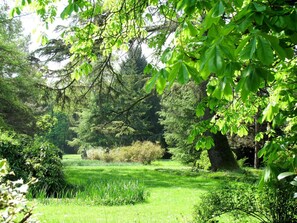 Plant, Plant Community, Green, Natural Landscape, Shade, Tree, Branch, Terrestrial Plant, Grass, Trunk