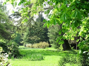 Planta, Planta De La Comunidad, Verde, Paisaje Natural, Sombra, Árbol, Rama, Planta Terrestre, Hierba, El Maletero