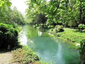 Agua, Planta, Planta De La Comunidad, Verde, Paisaje Natural, Entorno Natural, Árbol, Lago, Luz De Sol