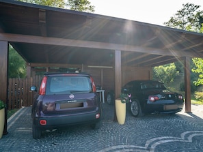 Auto, Fahrzeug, Rad, Pflanze, Kraftfahrzeug, Baum, Automobil-Design, Asphalt