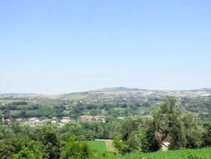 Himmel, Pflanze, Natürliche Landschaft, Baum, Grundstueck, Gras, Wiese, Wohngebiet, Einfach, Ländliches Gebiet