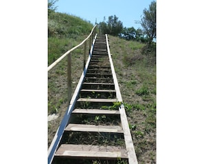 Stairs, Walkway, Grass, Tree, Boardwalk, Plant Community, Plant, Nonbuilding Structure