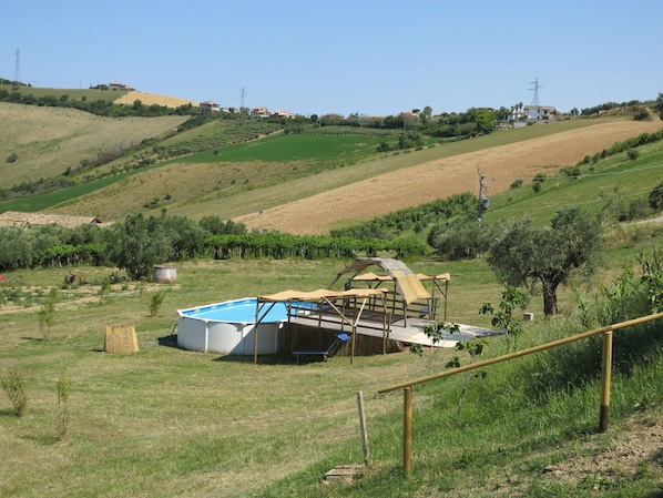 Rural Area, Pasture, Farm, Land Lot, Grassland, Hill, Landscape, Grass, Tree, Ranch