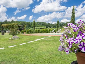 Garten, Gras, Daytime, Himmel, Rasen, Blume, Pflanze, Botanik, Frühling, Baum