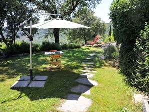 Yard, Property, Grass, Garden, Backyard, Shade, Lawn, Botany, Tree, Landscaping