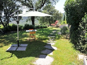 Cour, Propriété, Herbe, Jardin, Arrière-Cour, Ombre, Pelouse, Botanique, Arbre, Aménagement Paysager