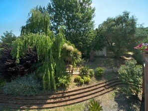 Végétation, Arbre, Jardin, Cour, Propriété, Plante, Herbe, Botanique, Arbuste, Suppression Des Plantes Ligneuses