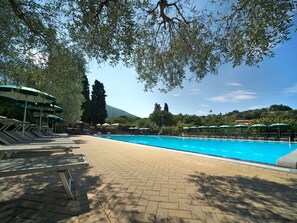 Piscine, Ciel, Arbre, Vacances, Recours, Loisir, Tourisme, Mer, Montagne, Tropiques