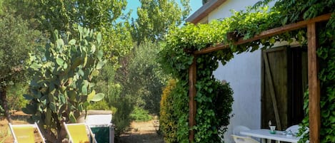 Plant, Furniture, Property, Table, Sky, Chair, Shade, Outdoor Furniture, Building, Grass