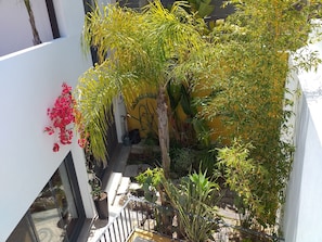 Garden view from roof terrace