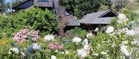 View of the Van der Ryn Eco-Refuge from the back garden , a magical place. 
