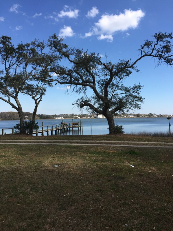 View from the screened porch.