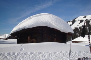 Balisalp