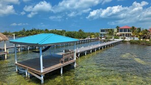Private Dock with man made reef. Much marine wildlife