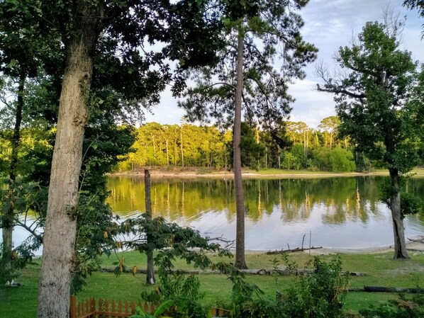 View from the back porch 