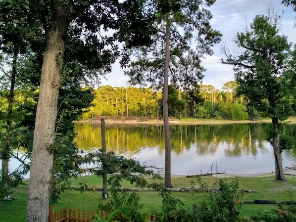 View from the back porch 