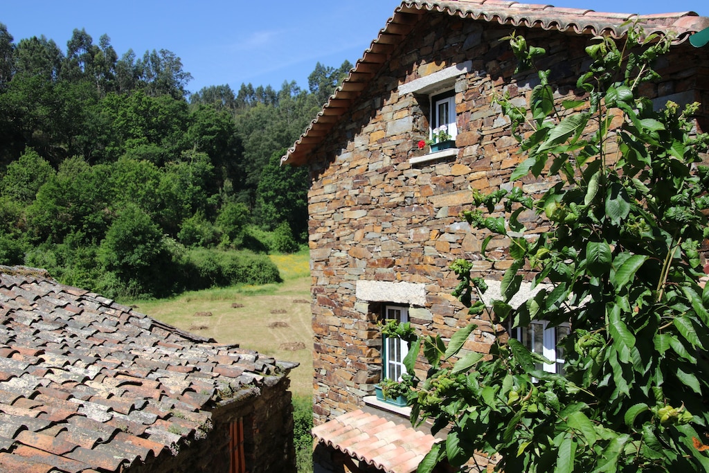 Picture of villa