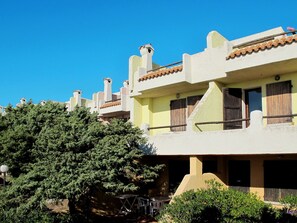 Plante, Ciel, Bâtiment, Propriété, Végétation, Fenêtre, Arbre, Maison, Zone Résidentielle, Arecales