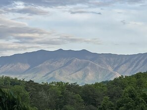 Close up of Mt. LeConte view from deck