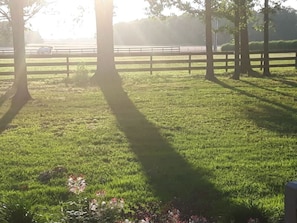 Summer view of pasture from swing on porch.