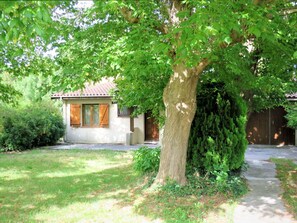 Plante, Bâtiment, Branche, Arbre, Fenêtre, Ombre, Paysage Naturel, Lot Terre, Tronc, Paysage