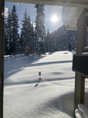 Utsikt från boendet