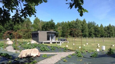 Cottage tout confort au milieu des chevaux