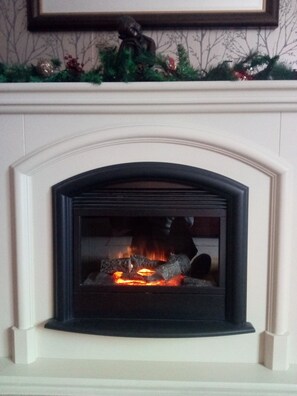 Cosy fireplace in lounge